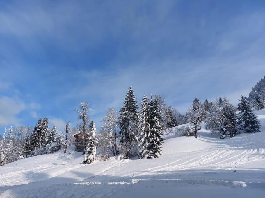 Appartamento Di Charme Praz-sur-Arly Exterior foto